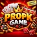 Propk Game
